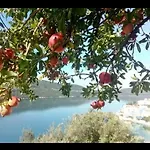 Feral * Neum
