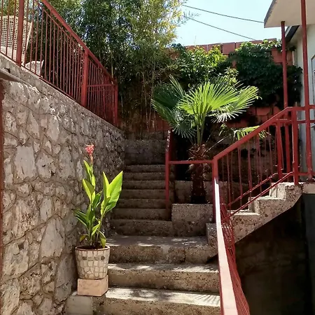 Feral Apartment