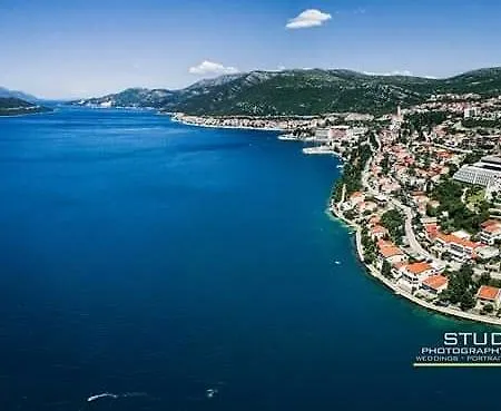 Feral * Neum