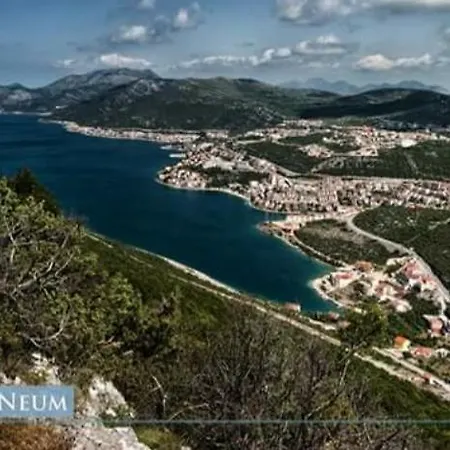 Feral * Neum