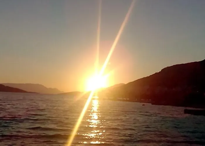 Feral Lejlighed Neum